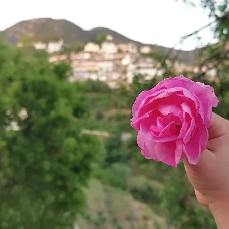 Nyaraló In The Hills *